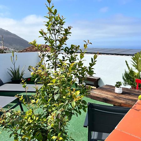 The Little Brezo Stone Home Tenerife 로스 레알레호스 외부 사진