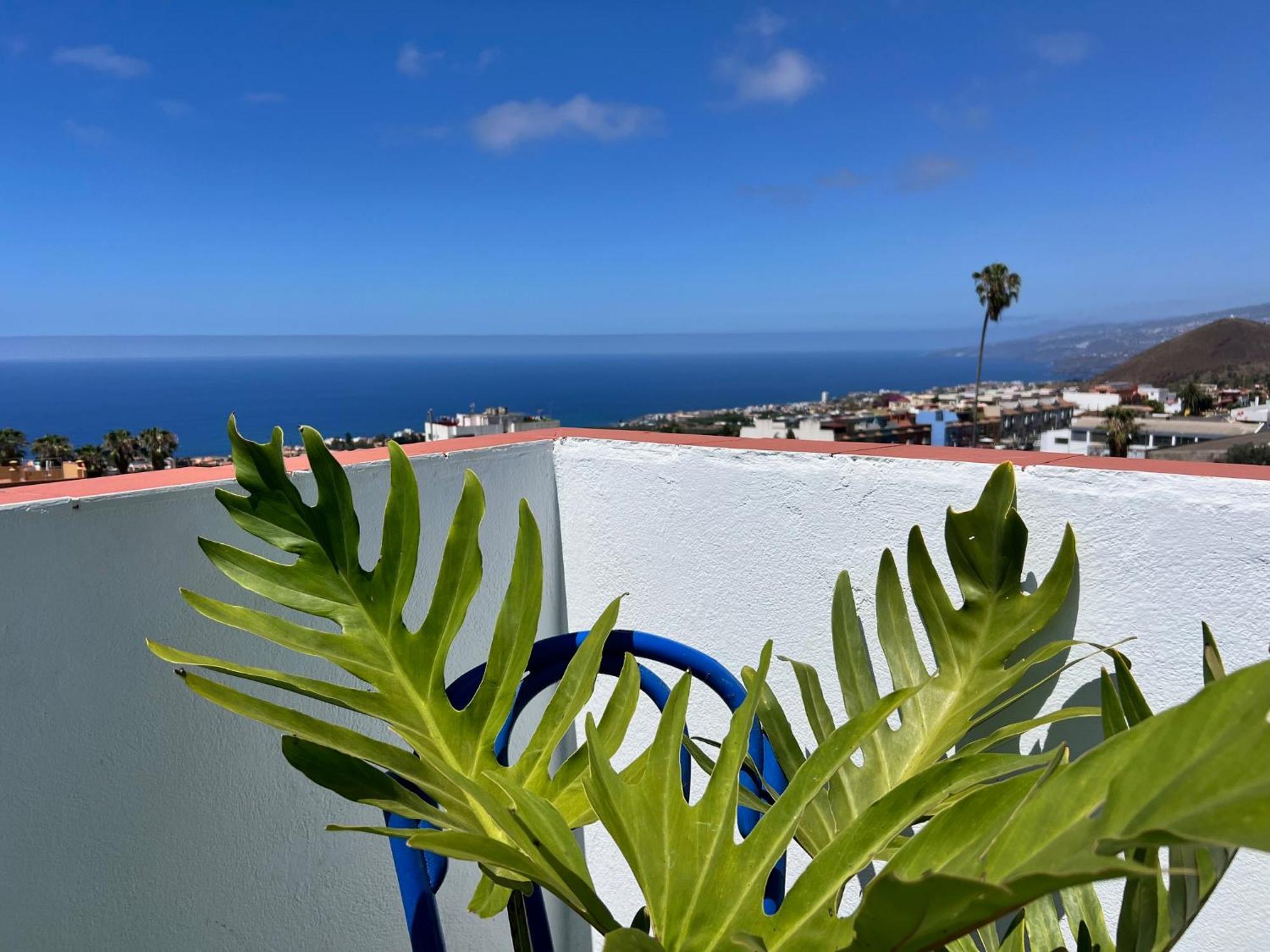 The Little Brezo Stone Home Tenerife 로스 레알레호스 외부 사진
